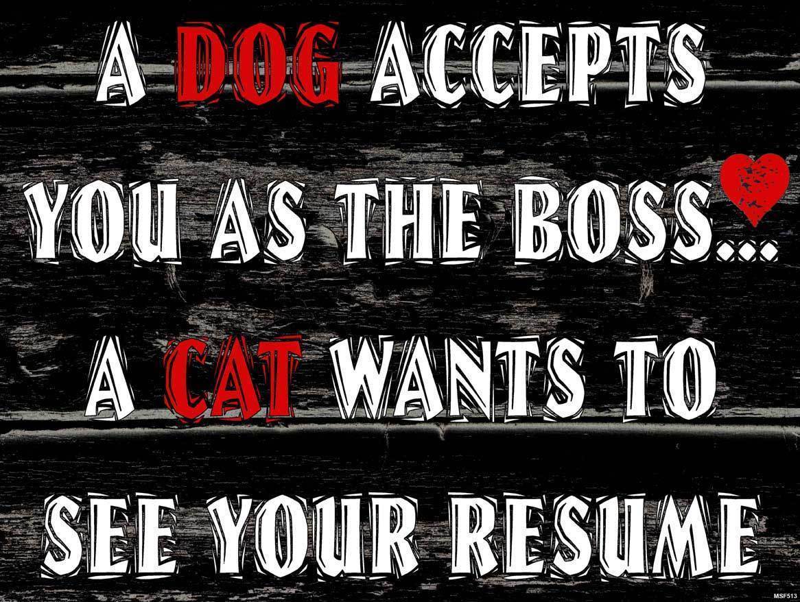 A Dog Accepts You A Cat Wants a Resume Dogs vs. Cats Pet Humor Metal Sign - £19.91 GBP