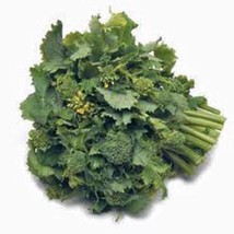 Broccoli Raab Rapini 25 Seeds Fresh Seeds Gardening - $3.38