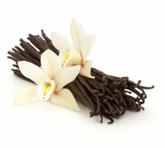 5 Madagascar Grade A Bourbon Gourmet Vanilla Beans [Whole] - £8.55 GBP