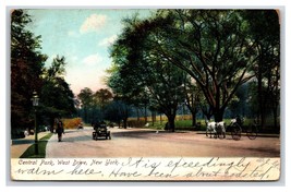 Centrale Park West Guida New York Città Ny Udb Cartolina R4 - £3.97 GBP