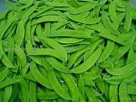 Organic Green Pea Seeds, heirloom green vegetables  NO. IWSC082 - £7.81 GBP