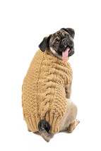 Camel Alpaca Cable Knit  Dog Sweater Chilly Dog Hand Knit Wool  XXS-XXXL Puppy - £24.52 GBP+