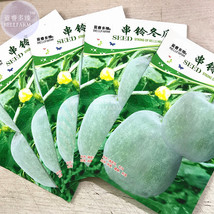 Goodidea BELLFARM Wax Gourd Small Round White Gourd Vegetable Seeds, 5 packs, 10 - £5.24 GBP