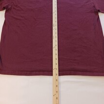 Champion Authentic UMass Minutemen Men’s Burgundy Cotton T-Shirt Size XL image 11
