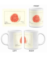 Watermelon - Tom Watson - 1916 - Fruit Illustration Mug - £19.17 GBP+