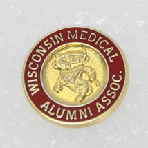 University of Wisconsin Medical Alumni Pin Goldtone 3/4&quot; Diameter  Badgers - $13.71