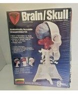 Linberg Skull/Brain Model Kit 1995 Plastic 3D Made in USA Sealed in Box - $16.49