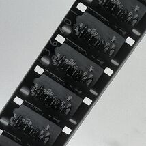 stephen f austin state university 16mm Home Movie SFA Football 1961 Naco... - €77,36 EUR