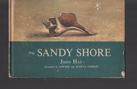 The Sandy Shore by John Hay / Hardcover 1968 / Nature Science Shells Marine - £14.81 GBP