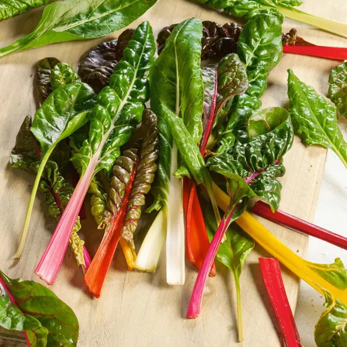 250 Rainbow Swiss Chard Seeds Fresh Seeds - £10.30 GBP