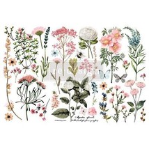 Prima Marketing Re Design Decor Transfers 6 inch X12 inch 3/Sheets Botanical ... - £23.31 GBP