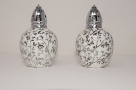 Irving W. Rice &amp; Co Inc Hand Painted Porcelain Salt &amp; Pepper Shakers Japan - €16,08 EUR