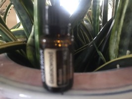 dōTERRA Guaiacwood 15 mL Essential Oil  NEW &amp; SEALED Exp 07/27 - $15.00