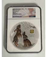 2023 Lunar Year of the Rabbit 1 Kilo Silver $30 Coin NGC MS70 w/ GOLD PR... - €3.393,92 EUR