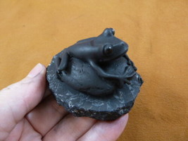 SH-FRO-7) black Frog figurine Shungite stone hand carving I love frogs a... - $35.05
