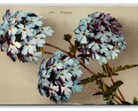 Cluster of Verbena Flowers on Branch UNP DB Postcard Z5 - $2.92