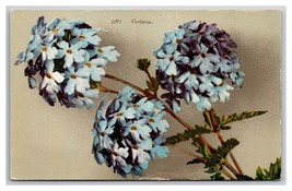 Cluster of Verbena Flowers on Branch UNP DB Postcard Z5 - $2.92
