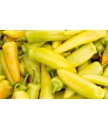 LKS Yellow Jalapeno Pepper Seeds Non-Gmo Caloro Pepper Home Garden - $9.23