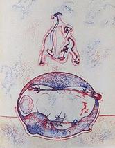 Artebonito - Max Ernst original Lithograph XX Siecle 1971 - £103.33 GBP