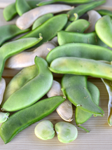 Bean Seeds - Lima - Henderson Lima- Vegetable Seeds - Outdoor Living - Gardening - £27.96 GBP