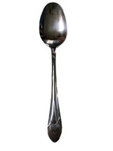 Solex Stainless Steel Serving Spoon - $7.99