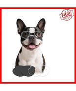Stylish Black Dog Sunglasses with Replaceable Lenses - Perfect for Mediu... - $35.79 CAD