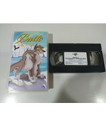 Balto Adventure in the Land of Ice - VHS Spanish Tape - 3T-
show origina... - $22.29