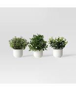 Room Essentials Herb Artificial Plant White Pot Color White - €13,83 EUR Room Essentials Herb Artificial Plant White Pot Color White - €13,83 EUR
