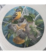 Knowles 1985 Collector Plate &quot;The Baltimore Oriole&quot; Limited Edition Fine... - £7.77 GBP