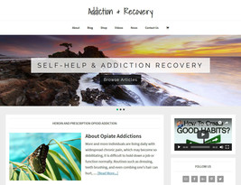 * RECOVERY &amp; ADDICTION * store blog website business for sale with AUTO ... - £71.15 GBP