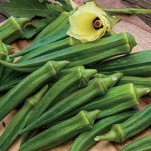 SML Long Handle Dipper Gourd Seeds For Planting 20 Seeds Bulk Seeds - $16.69
