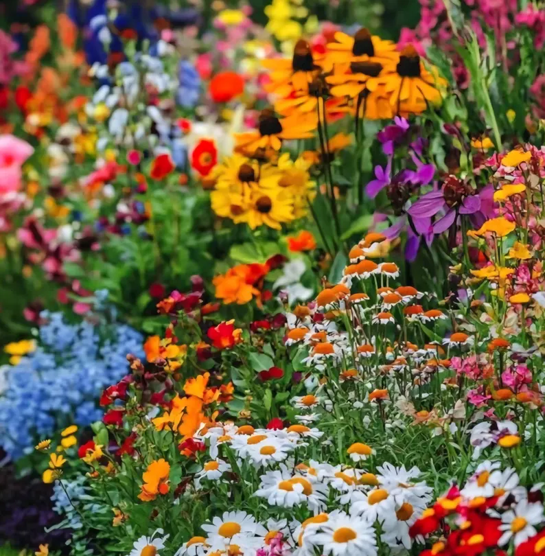 Wild Flower Seeds – Perennial Mix (Organic, Non-GMO) 500 seeds - $5.67