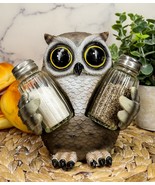 Ebros Whimsical Owlet Baby Owl W/ Big Round Eyes Glass Salt &amp; Pepper Sha... - $493.32 MXN