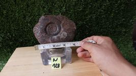 Item image 15