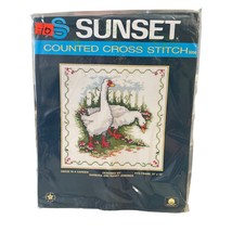 Sunset Counted Cross Stitch Kit Geese in a Garden Barbara Jennings - £16.76 GBP