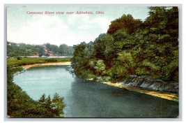 Bend In Conneaut River Ashtabula Ohio OH  UNP DB Postcard N24 - £3.11 GBP