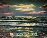 Moonlight on the Seashore at the World Famous Daytona Beach FL Postcard ... - £4.00 GBP