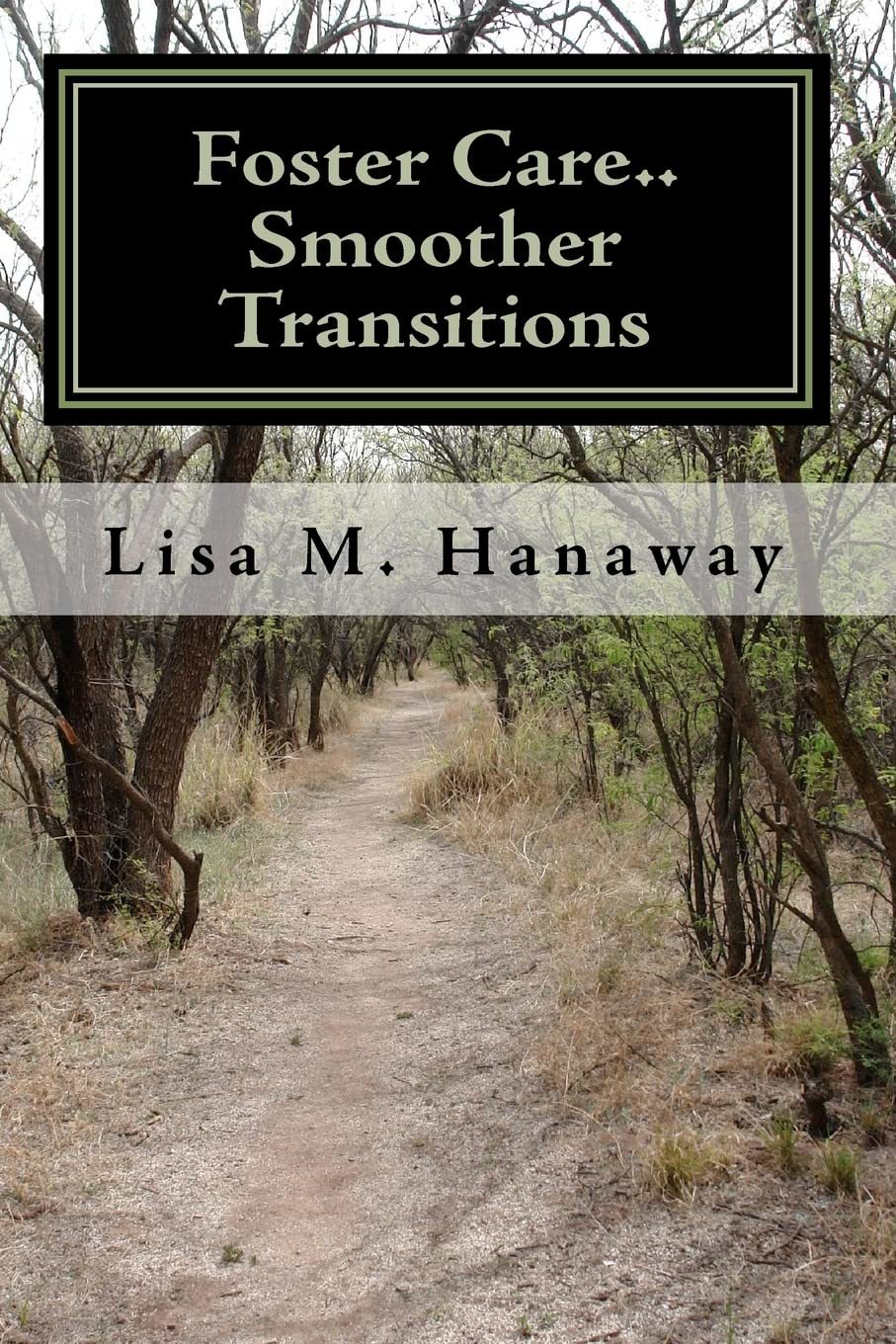 Foster Care..: Smoother Transitions [Paperback] Hanaway, Lisa M. - $9.99