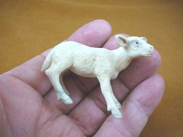 (moose-11) baby white Moose cow of shed ANTLER figurine Bali detailed ca... - $56.09