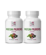 energy supplements - MUCUNA PRURIENS EXTRACT - Concentration pills 2 Bot... - €29,53 EUR