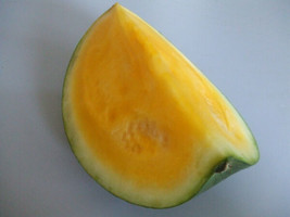USA Yellow Flesh Yellow Crimson Watermelon Heirloom Sweet Melon Vine 50 Seeds - £8.64 GBP