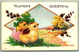 Seasons Greetings Easter Chicks Farm Scene Pussy Willows UNP DB Postcard F8 - £4.64 GBP