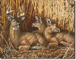 Ducks Unlimited The Hideaway Deer Buck Doe and Fawn Hunting Nature Metal... - $20.95