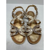 Kate Spade Snake Print Leather Strappy Gladiator Flat Sandals Womens Sz ... - $820.07 MXN