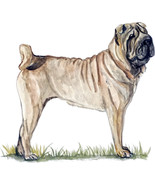 Shar Pei Dog Triple Sticker Decal Quality Helmet Equipment Cooler Puppy - $127.95 MXN+