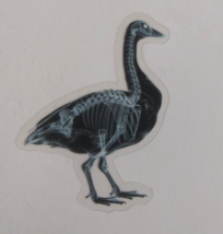 Goose X-Ray Transparent Sticker 2.5&quot; (F) - $1.64