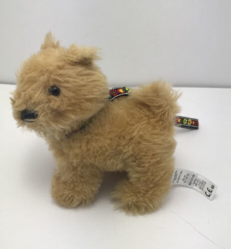 American girl terrier puppy sale