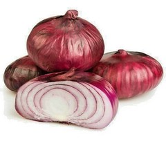 5000 Onion Seed Red Cippolini Onion Seed Pack Onion Seed US Fast Shipping - $24.18 MXN