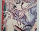 EVIL&#39;S RETURN Volume 2 Hwan Shin Jong-Kyu Lee OT Tokyopop Manga Graphic ... - $5.99