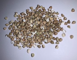 280 Organic BUCKWHEAT SEEDS, US Seller Non- Gmo usps Shipping! - $8.96